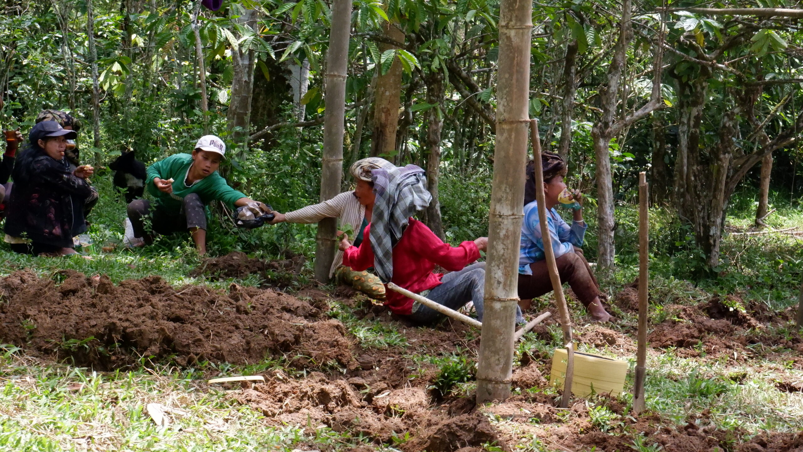 DSCF0380-scaled DESA RANDANBATU – PEMBANGUNAN NURSERY, PENGADAAN BIBIT, DAN PENGISIAN POLYBAG