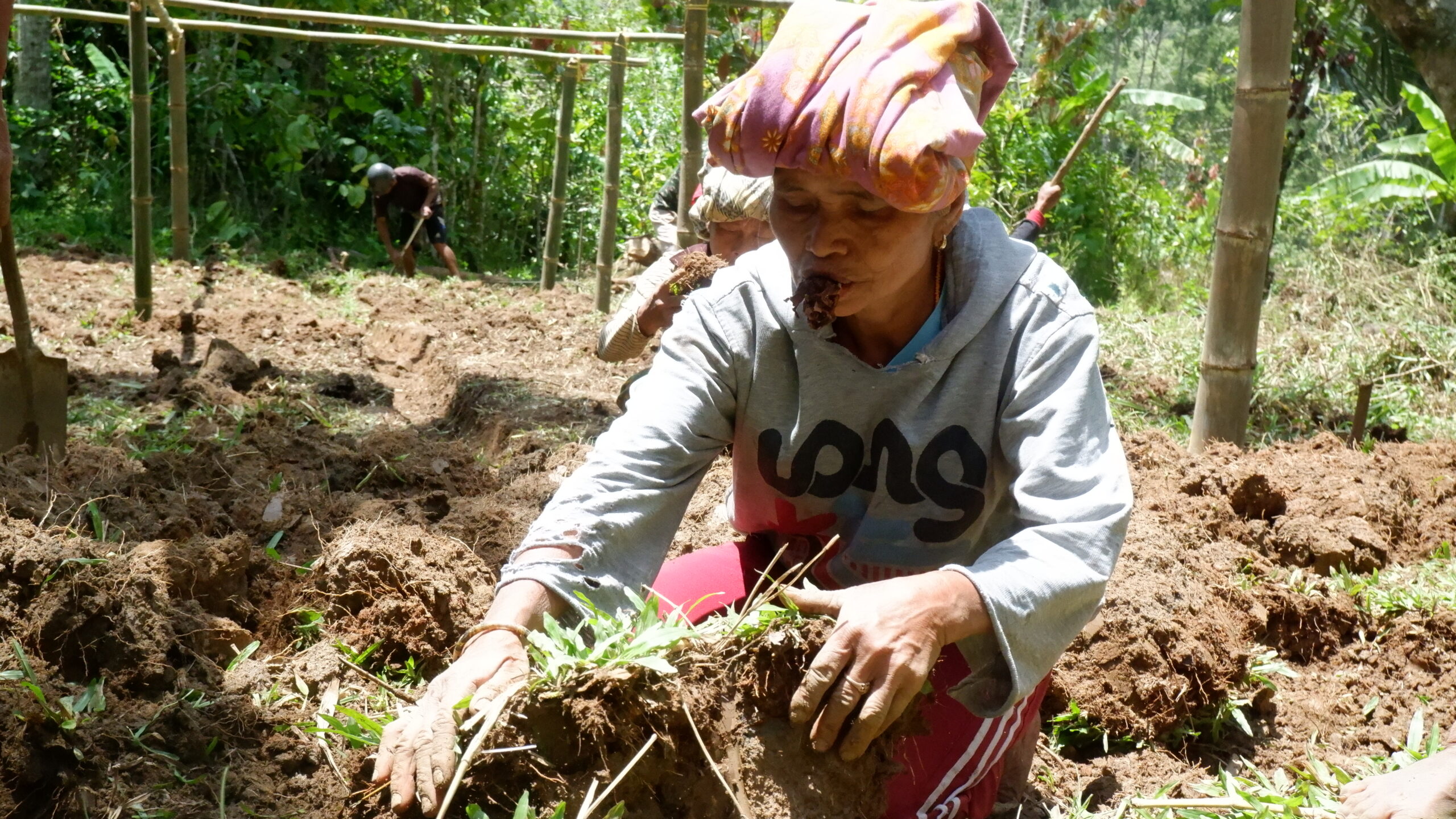 DSCF0423-Copy-scaled DESA RANDANBATU – PEMBANGUNAN NURSERY, PENGADAAN BIBIT, DAN PENGISIAN POLYBAG