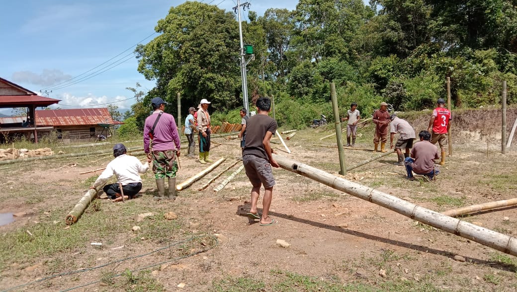 db54c8e2-fce2-4fa6-90d2-51373d075430 DESA BOKIN – PEMBANGUNAN NURSERY, PENGADAAN BIBIT, DAN PENGISIAN POLYBAG