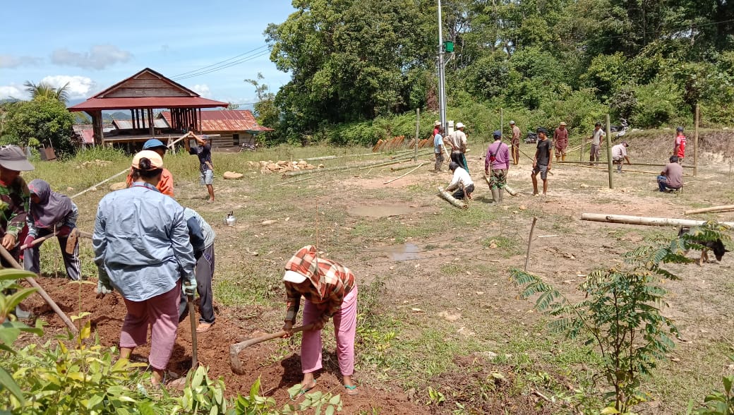 dc932017-bcb8-4361-8e13-c982094aedda DESA BOKIN – PEMBANGUNAN NURSERY, PENGADAAN BIBIT, DAN PENGISIAN POLYBAG