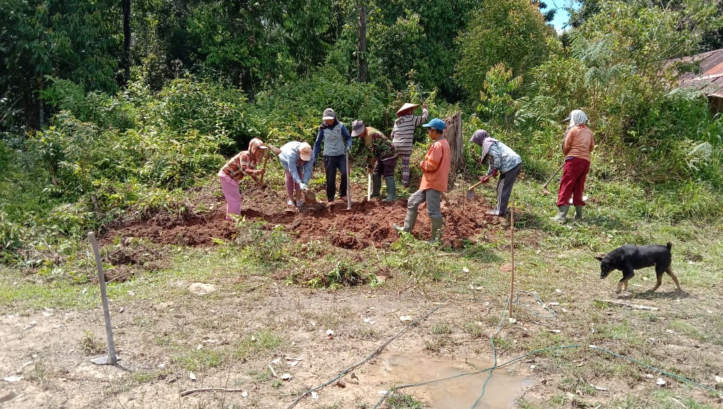 e2e7dba8-761d-480c-bf71-6b7f4b171268 DESA BOKIN – PEMBANGUNAN NURSERY, PENGADAAN BIBIT, DAN PENGISIAN POLYBAG