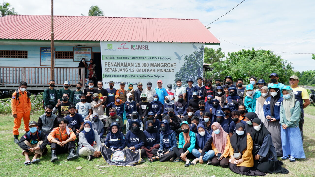 Penanaman Mangrove