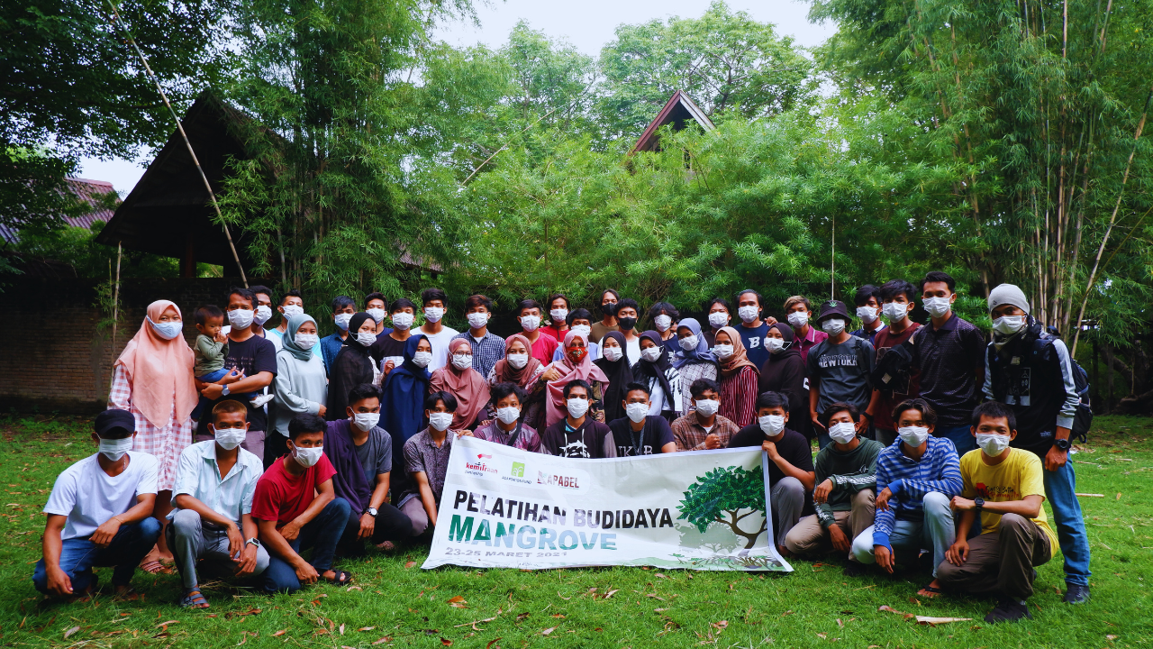 Pelatihan budidaya mangrove di Kabupaten Pinrang, Provinsi Sulawesi Selatan