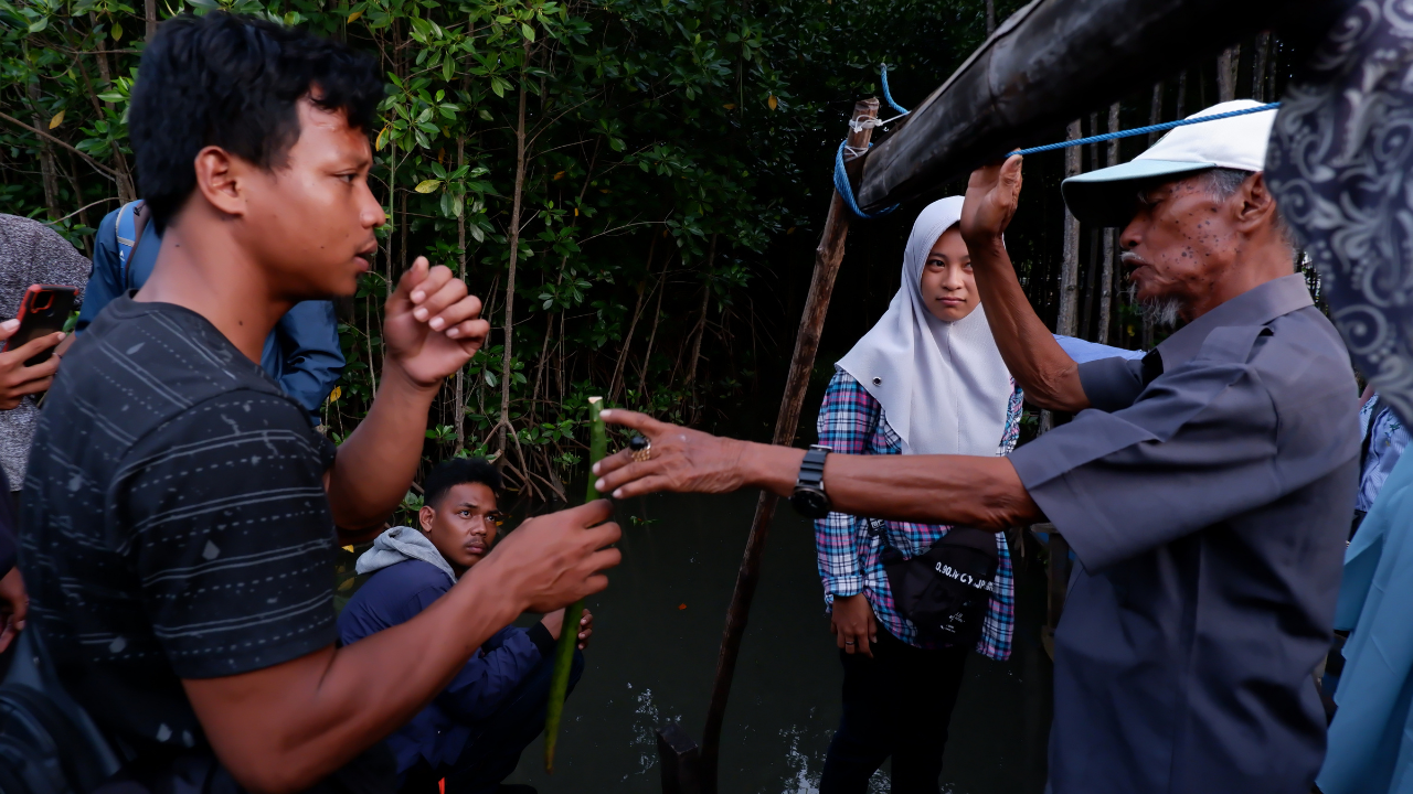 Pelatihan budidaya mangrove di Kabupaten Pinrang, Provinsi Sulawesi Selatan