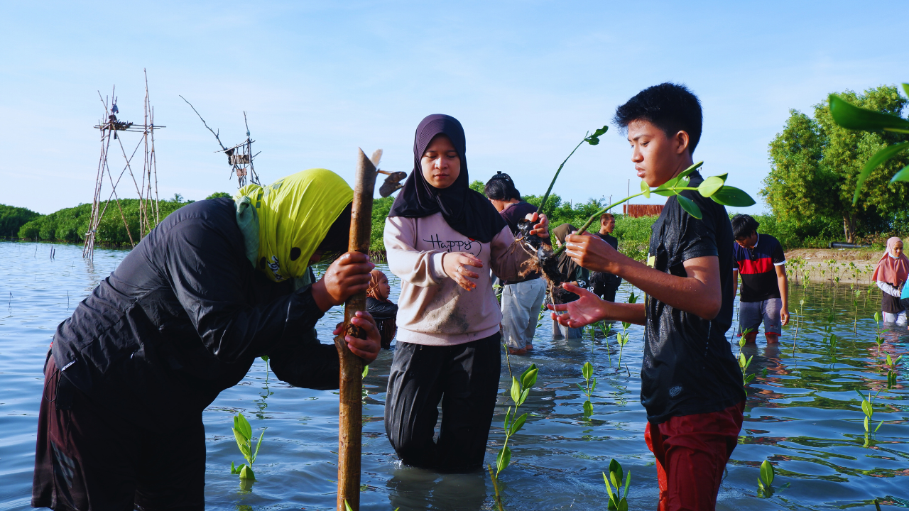 Pelatihan budidaya mangrove di Kabupaten Pinrang, Provinsi Sulawesi Selatan