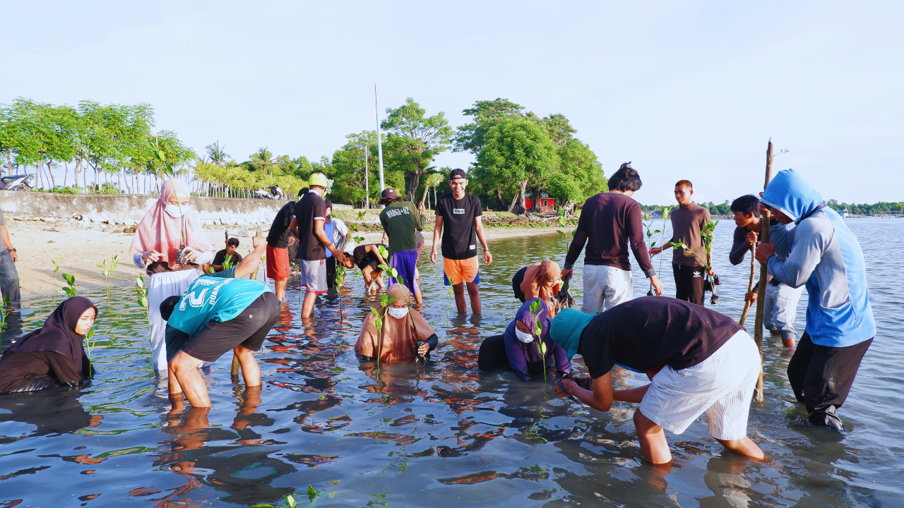 Pelatihan budidaya mangrove di Kabupaten Pinrang, Provinsi Sulawesi Selatan