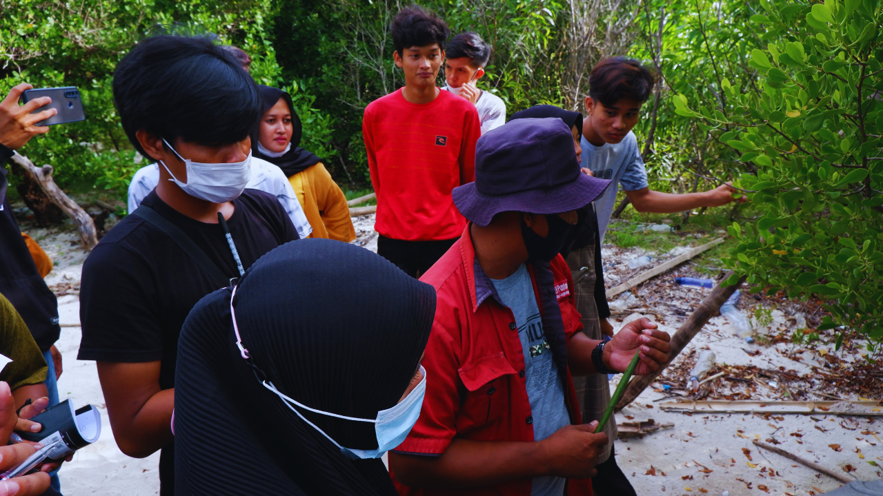 Pelatihan budidaya mangrove di Kabupaten Pinrang, Provinsi Sulawesi Selatan