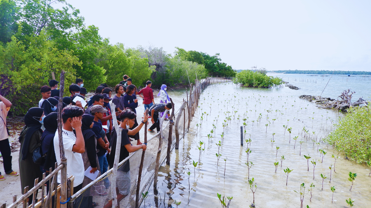 Pelatihan budidaya mangrove di Kabupaten Pinrang, Provinsi Sulawesi Selatan