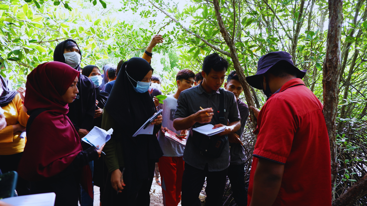 Pelatihan budidaya mangrove di Kabupaten Pinrang, Provinsi Sulawesi Selatan