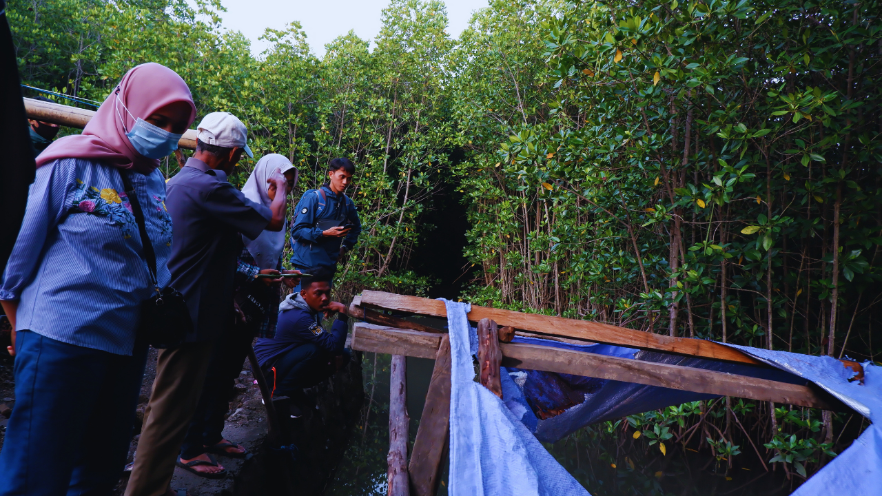 Pelatihan budidaya mangrove di Kabupaten Pinrang, Provinsi Sulawesi Selatan