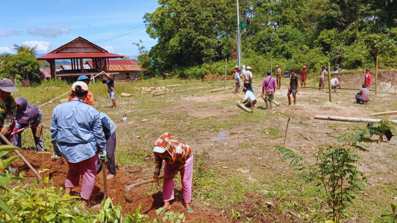 Pembangunan Nursery