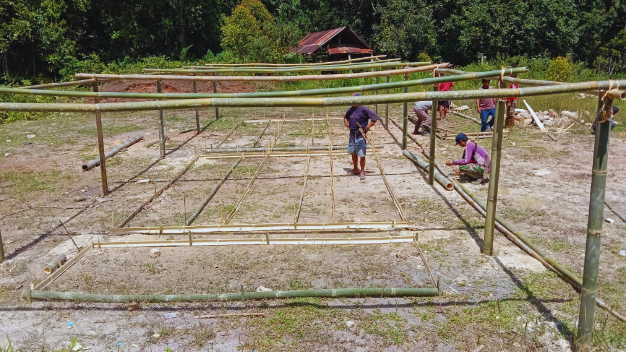 Pembangunan Nursery