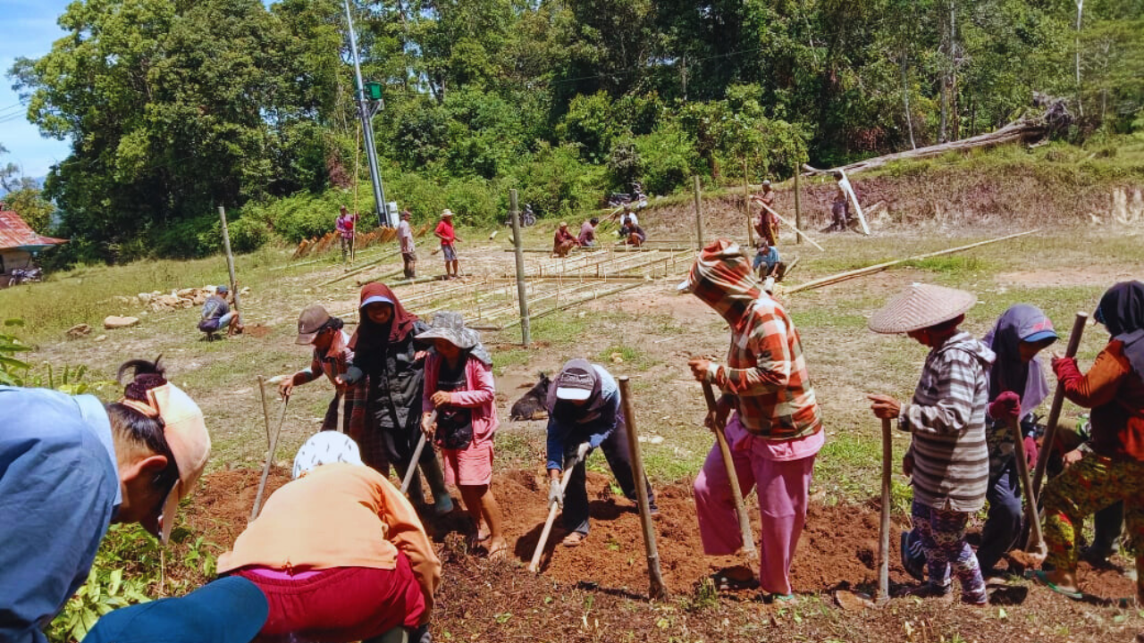 Pembangunan Nursery