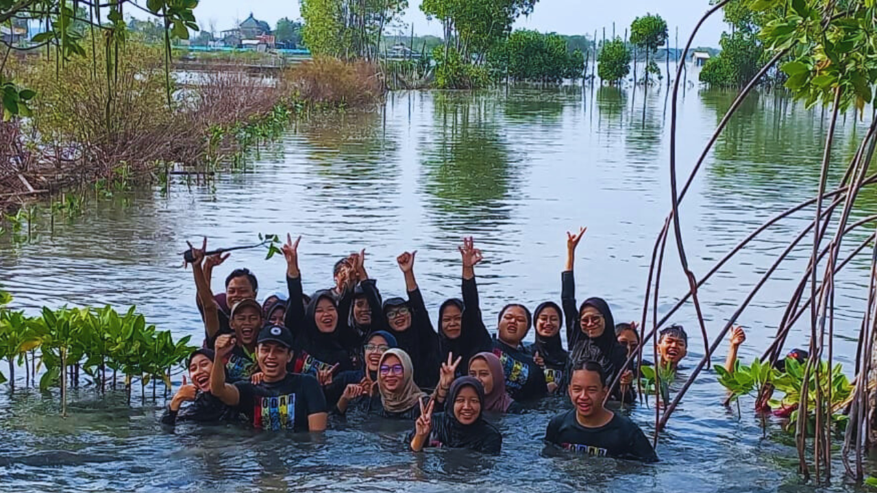 Penanaman Mangrove