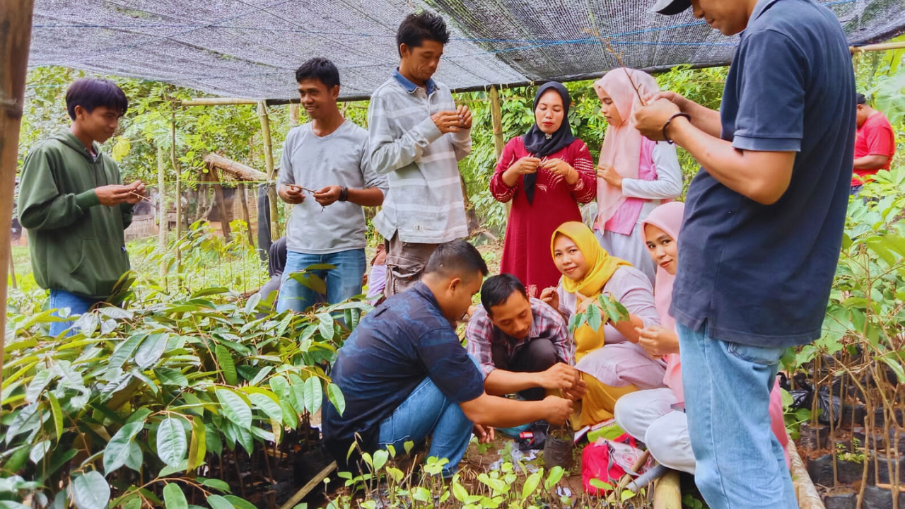 Agroforestry Field School2