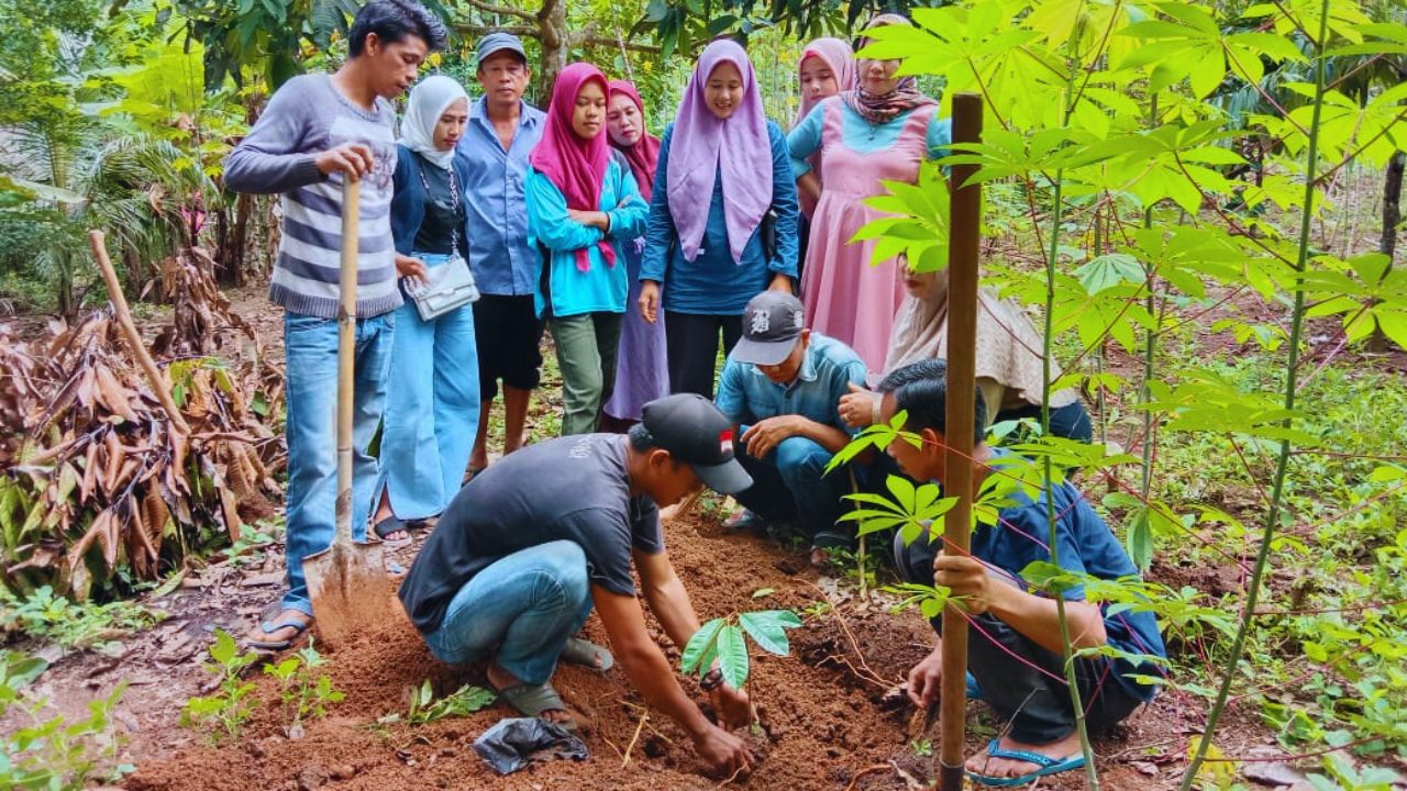 Agroforestry Field School3