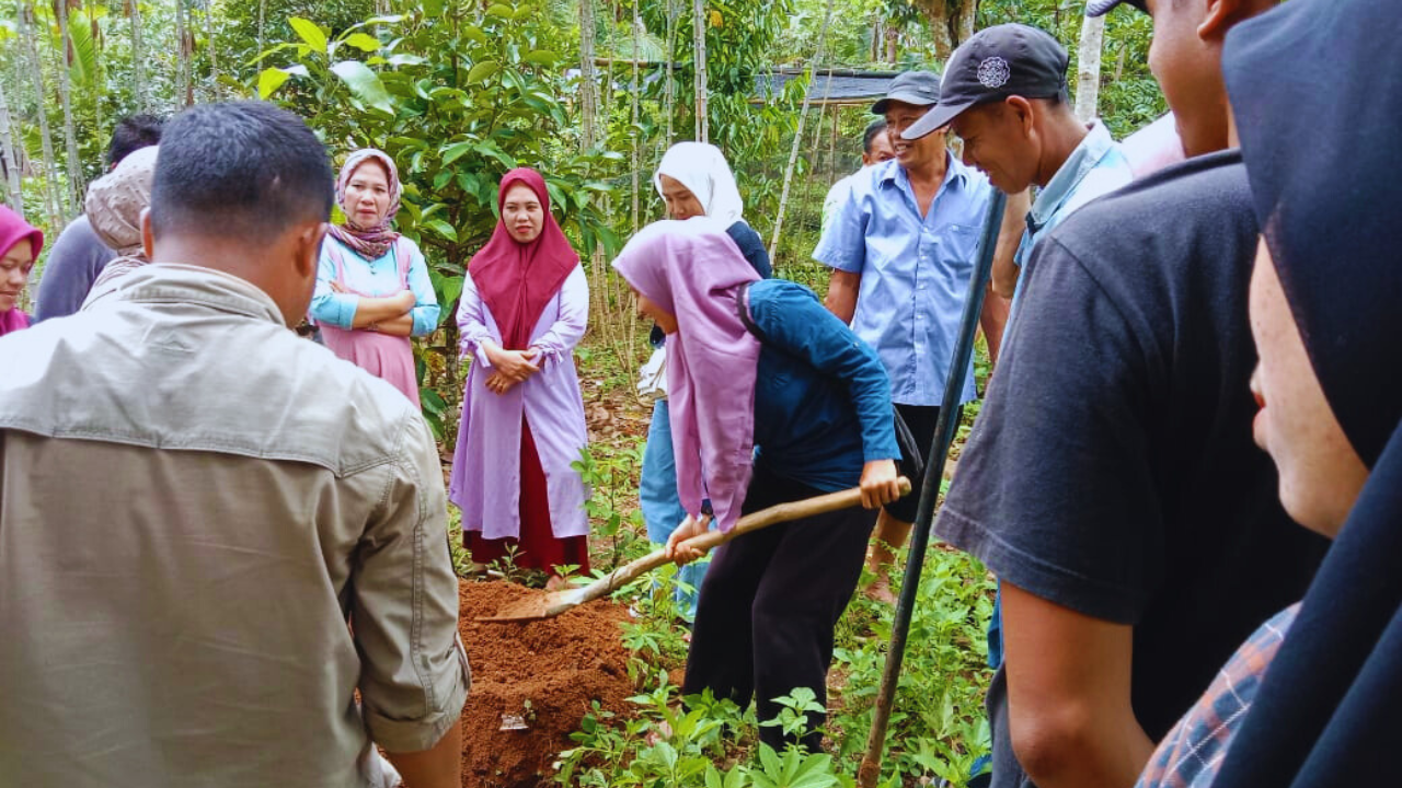 Agroforestry Field School4