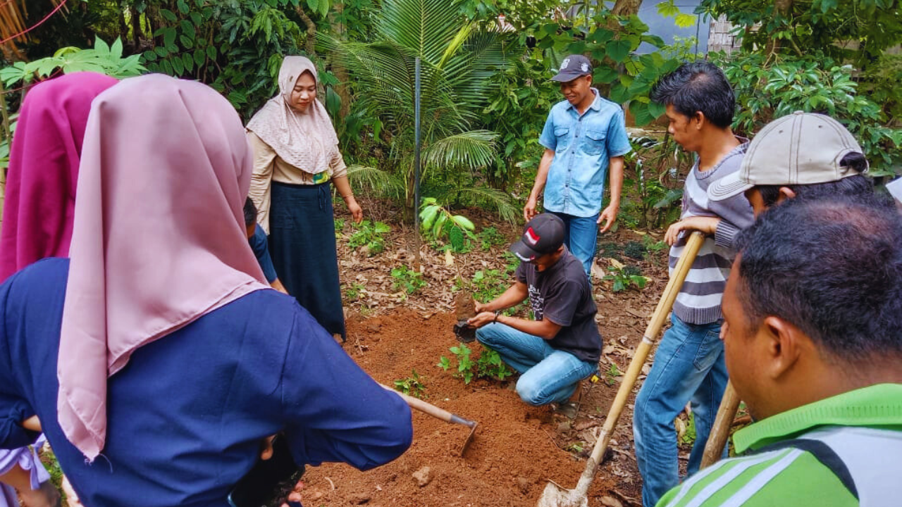 Agroforestry Field School5