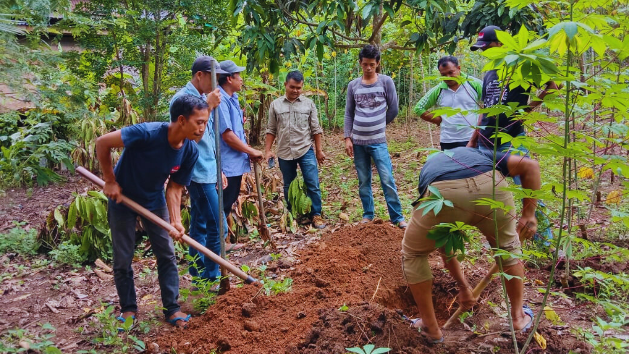 Agroforestry Field School6