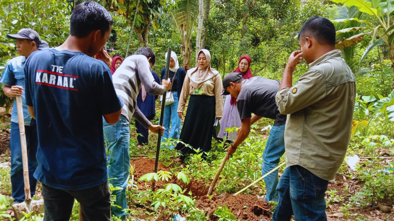 Agroforestry Field School7